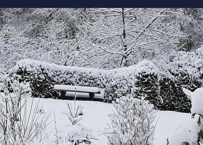 Steffis Hochwaldidyll Heddert